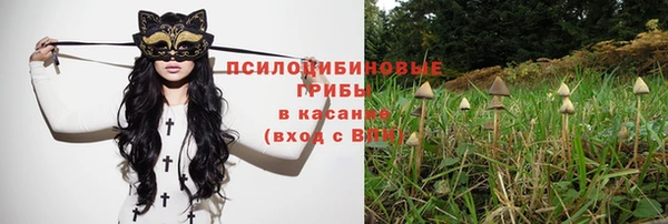 амф Баксан