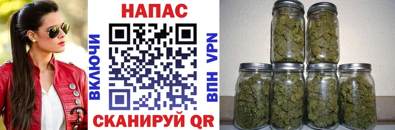 Бошки Шишки SATIVA & INDICA  купить наркотик  hydra ONION  Уяр 